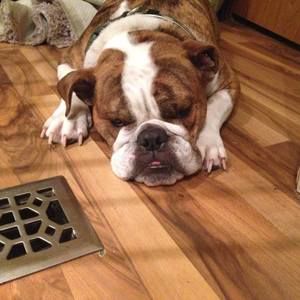 Meet your Posher, Amy